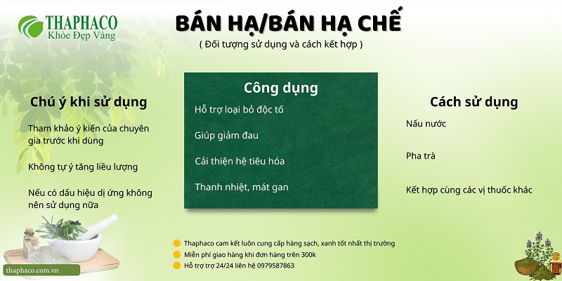 Lưu ý khi dùng bán hạ/bán hạ chế tại HCM