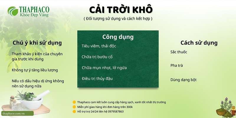 Lưu ý khi dùng cải trời khô tại HCM