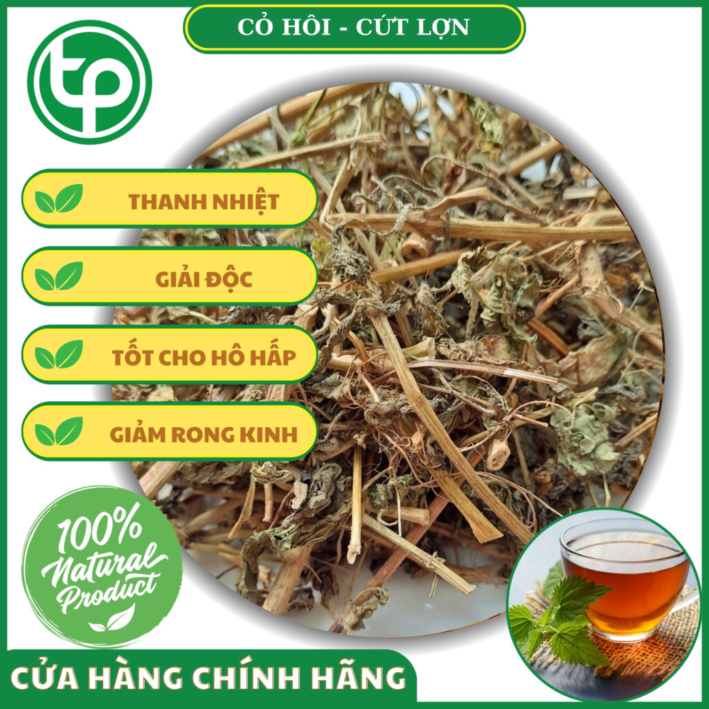 Công dụng của cây cỏ hôi tại TP.HCM