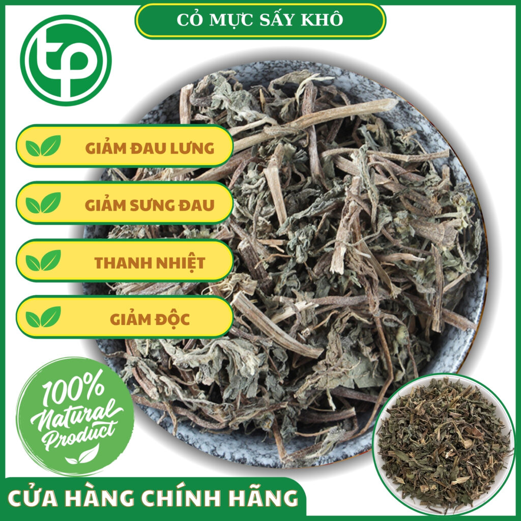 Công dụng của cây nhọ nhồi ( cỏ mực ) tại TP.HCM