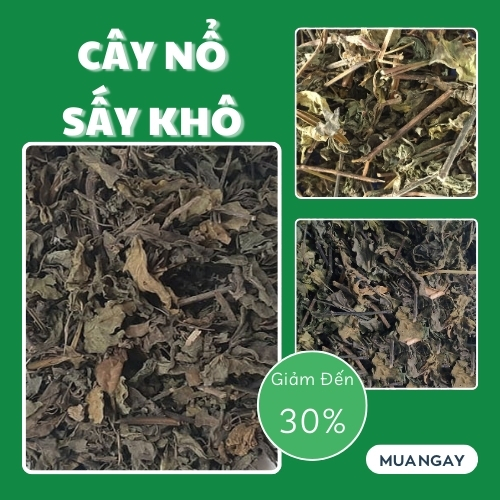 Cây nổ tại TP.HCM ở THAPHACO ( Tấn Phát Group )