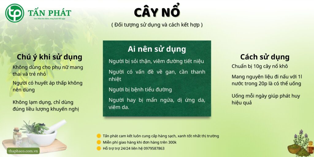 Cách sử dụng cây nổ tại TP.HCM