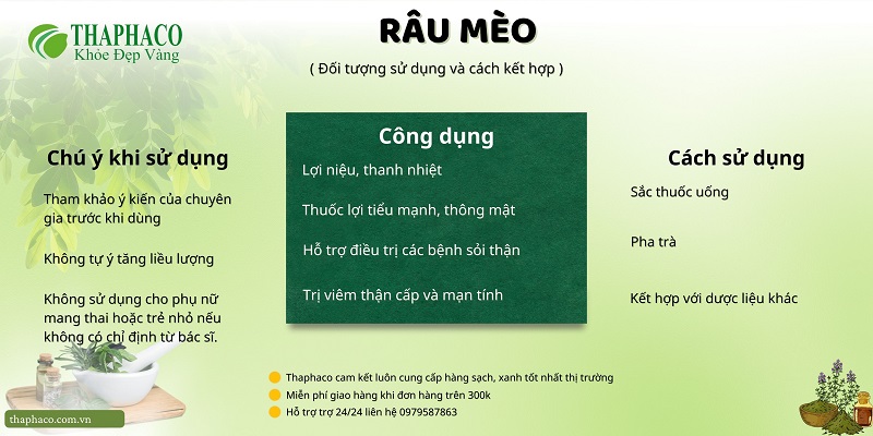 Lưu ý khi dùng râu mèo