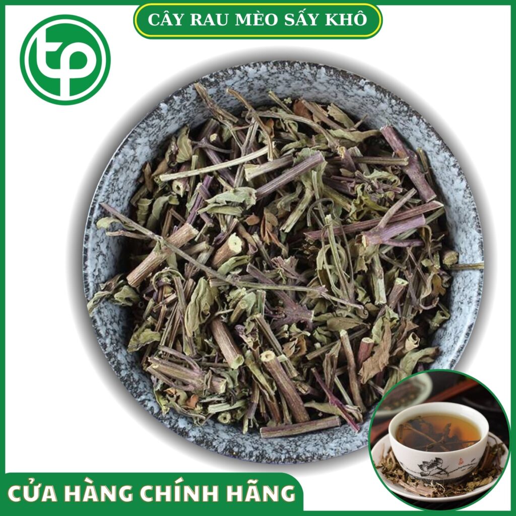 Râu mèo tại HCM THAPHACO (Tấn Phát Group)