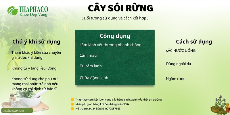 Lưu ý khi dùng cây sói rừng