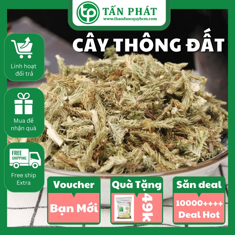 Địa chỉ bán thông đất tại TP.HCM ở đâu ?