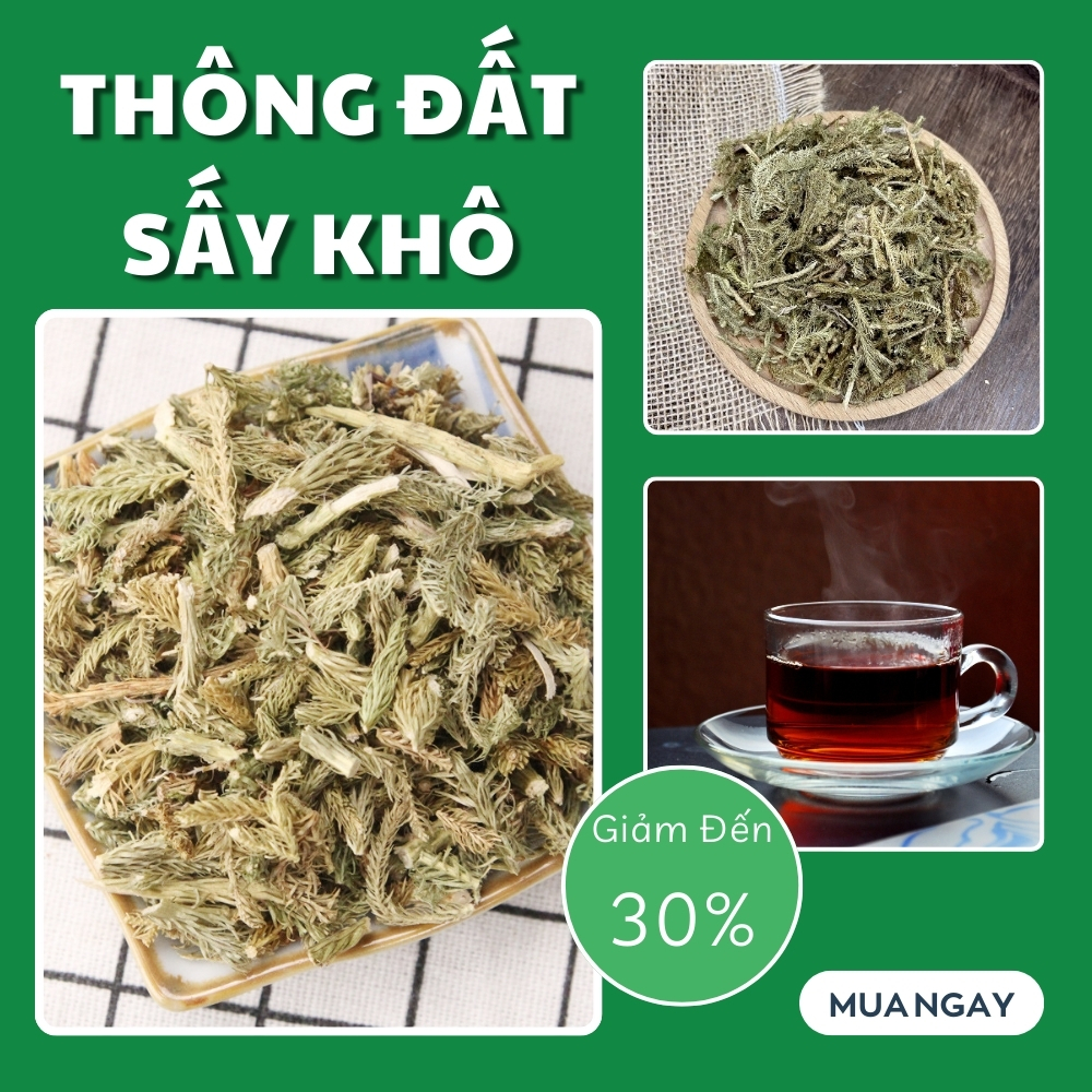 Sản phẩm thông đất tại TP.HCM ở THAPHACO ( Tấn Phát Group )