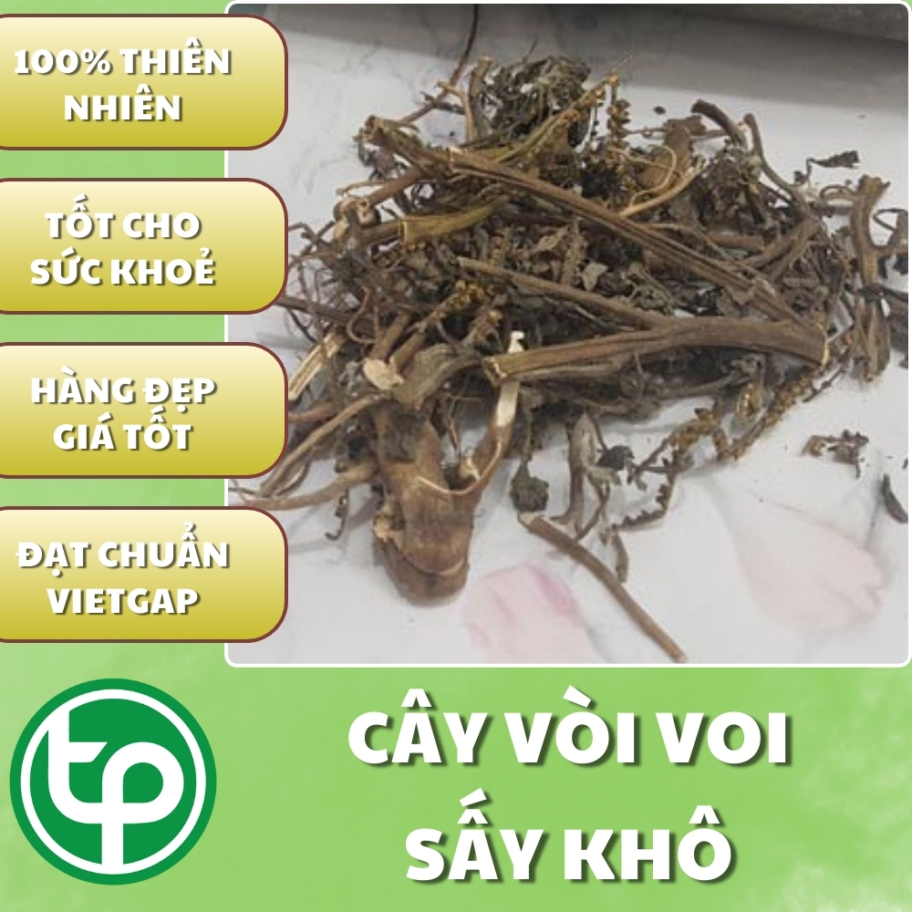 Cây vòi voi tại TP.HCM