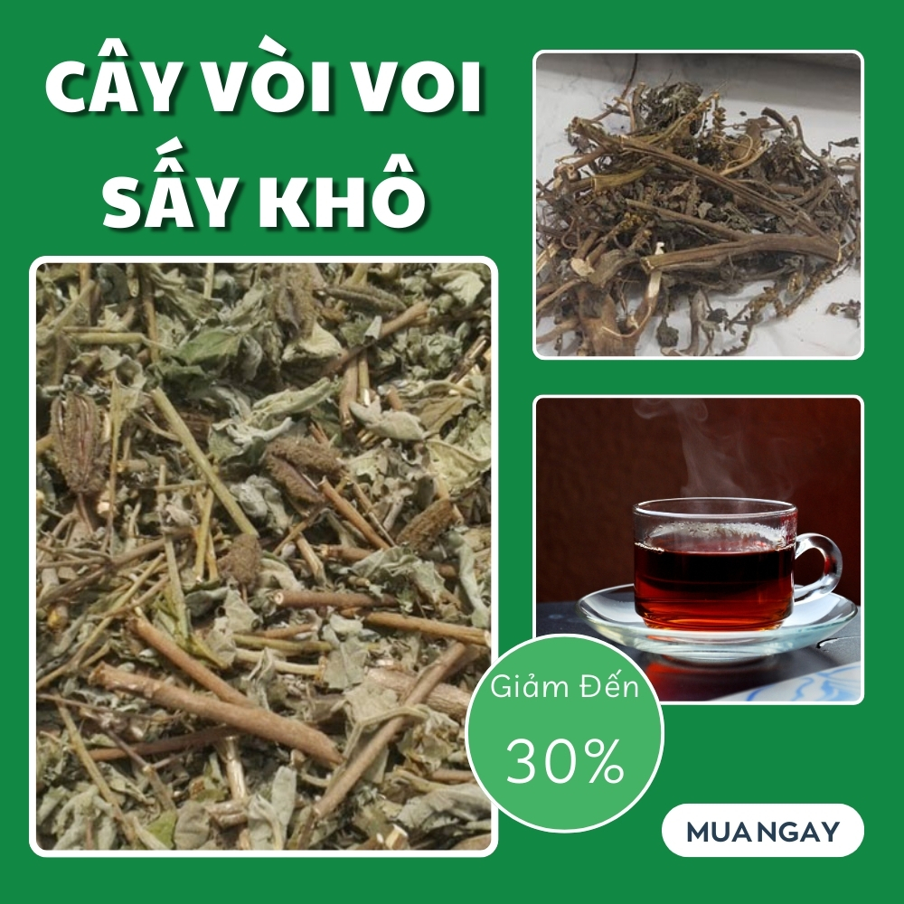 Mua cây vòi voi tại TP.HCM ở THAPHACO ( Tấn Phát Group )