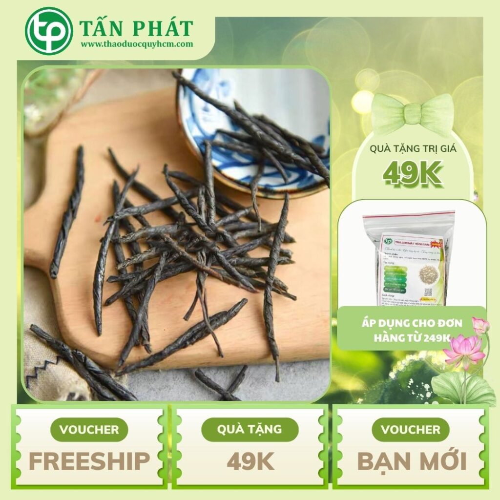 Địa chỉ bán chè đắng Cao Bằng tại TP.HCM ở đâu uy tín ?