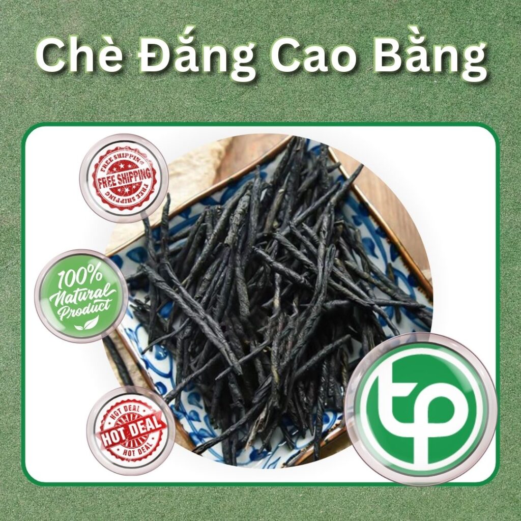 Mua chè đắng Cao Bằng tại TP.HCM ở THAPHACO ( Tấn Phát Group )