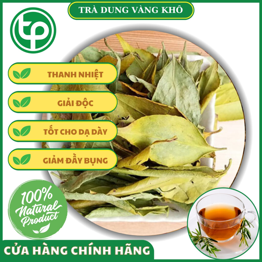 Công dụng của chè dung vàng tại TP.HCM