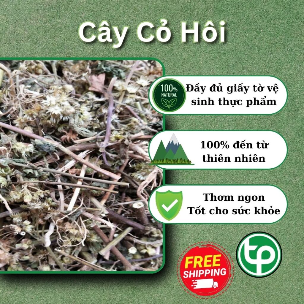 THAPHACO ( Tấn Phát Group ) là địa chỉ bán cây cỏ hôi tại TP.HCM uy tín