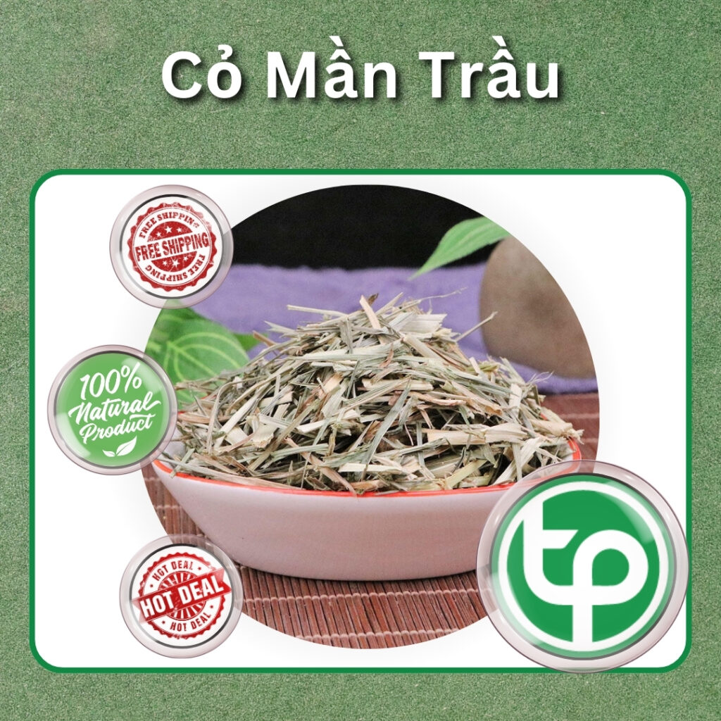 Cỏ mần trầu tại HCM THAPHACO (Tấn Phát Group)