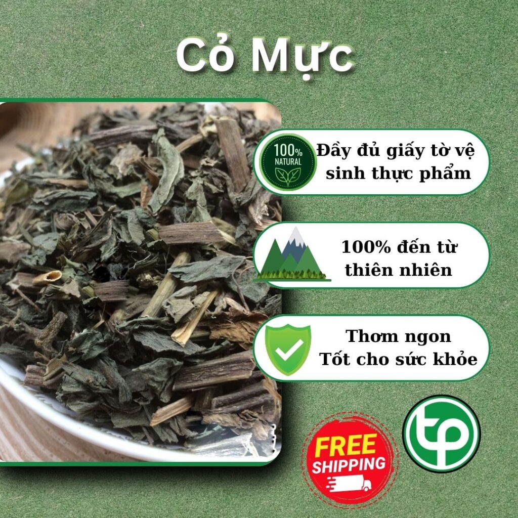 Địa chỉ bán cây nhọ nhồi ( cỏ mực ) tại TP.HCM ở đâu ?