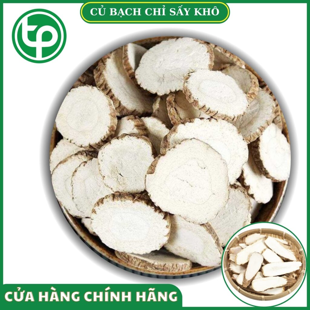 Củ bạch chỉ khô tại HCM THAPHACO (Tấn Phát Group)