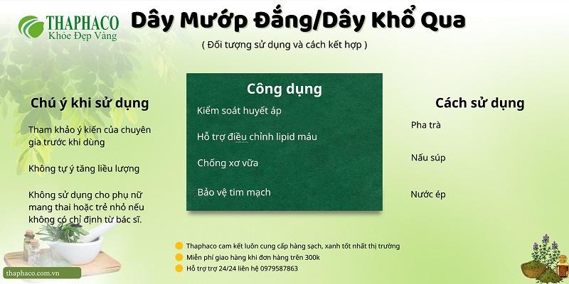 Lưu ý khi dùng Dây Mướp Đắng/Dây Khổ Qua