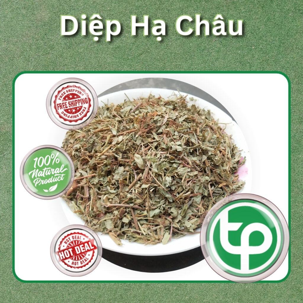 Sản phẩm diệp hạ châu của THAPHACO ( Tấn Phát Group )