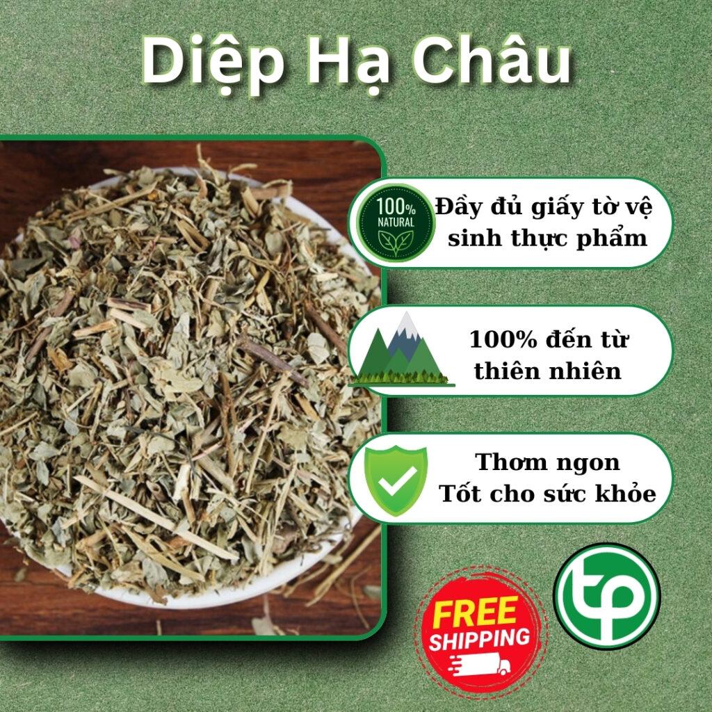 THAPHACO ( Tấn Phát Group ) - Địa chỉ bán diệp hạ châu tại TP.HCM