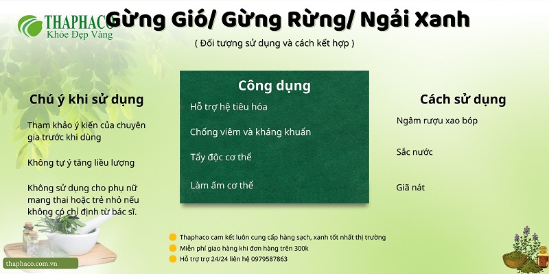 Lưu ý khi dùng gừng gió/ ngải xanh