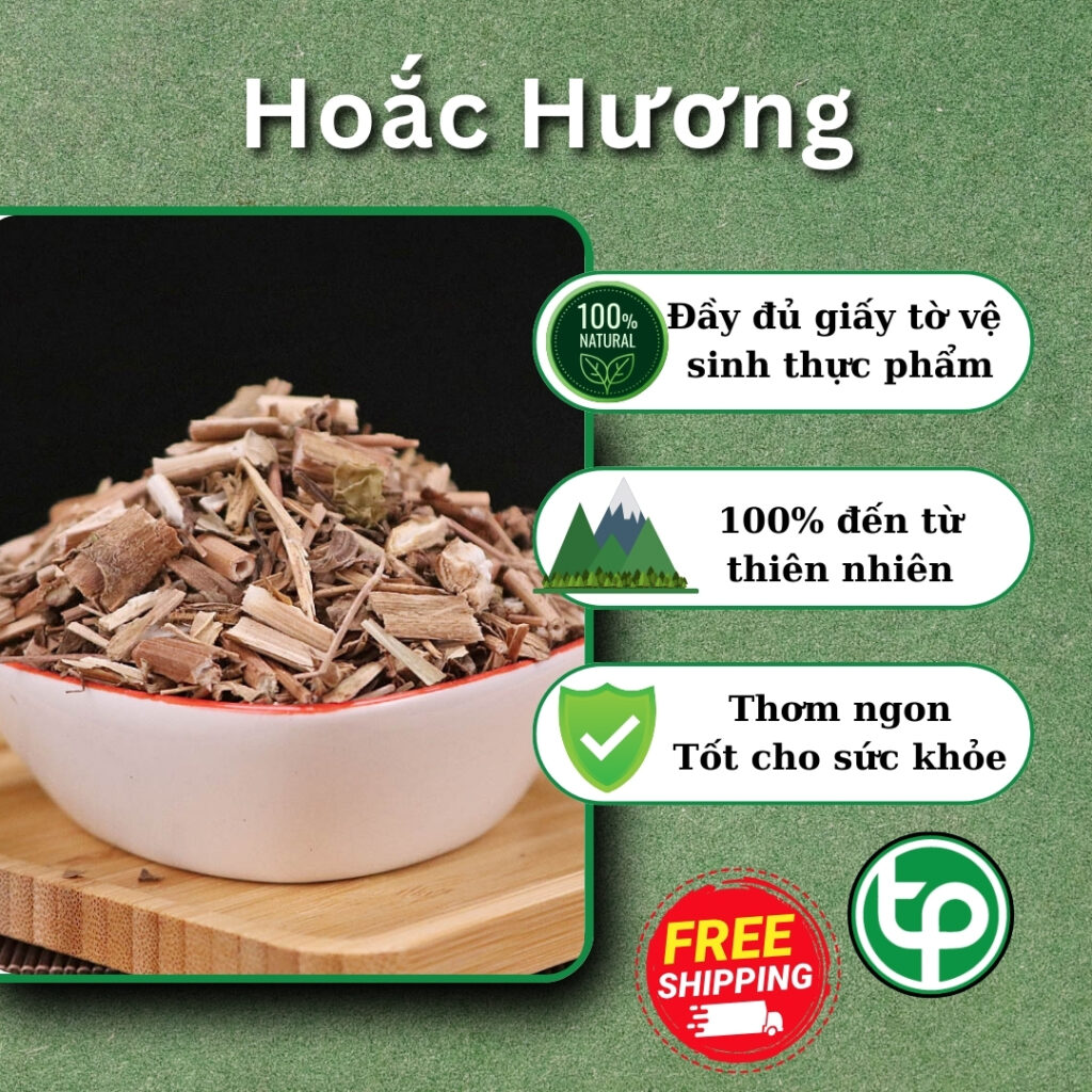 Hoắc hương tại HCM THAPHACO (Tấn Phát Group)