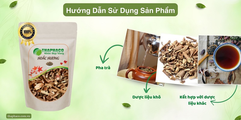 Cách sử dụng hoắc hương tại HCM