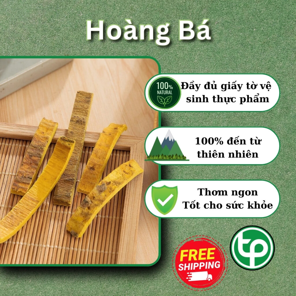 Hoàng bá tại HCM THAPHACO (Tấn Phát Group)