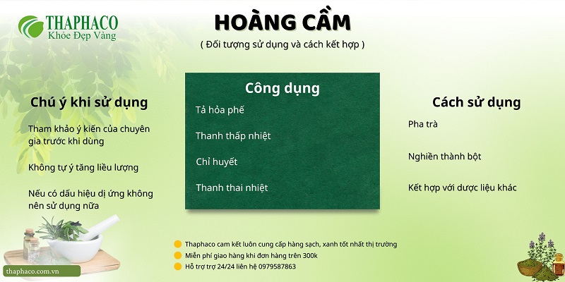 Lưu ý khi dùng hoàng cầm tại HCM