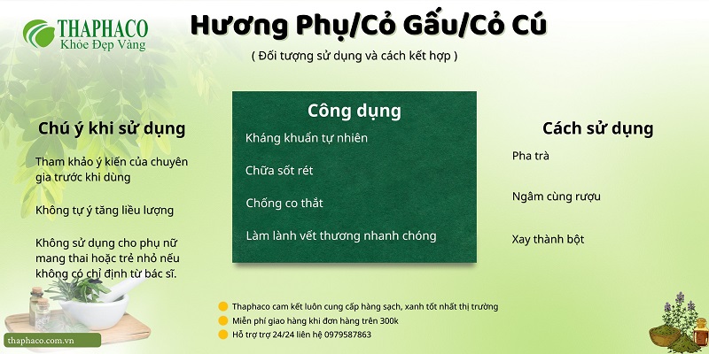 Lưu ý khi dùng cỏ cú