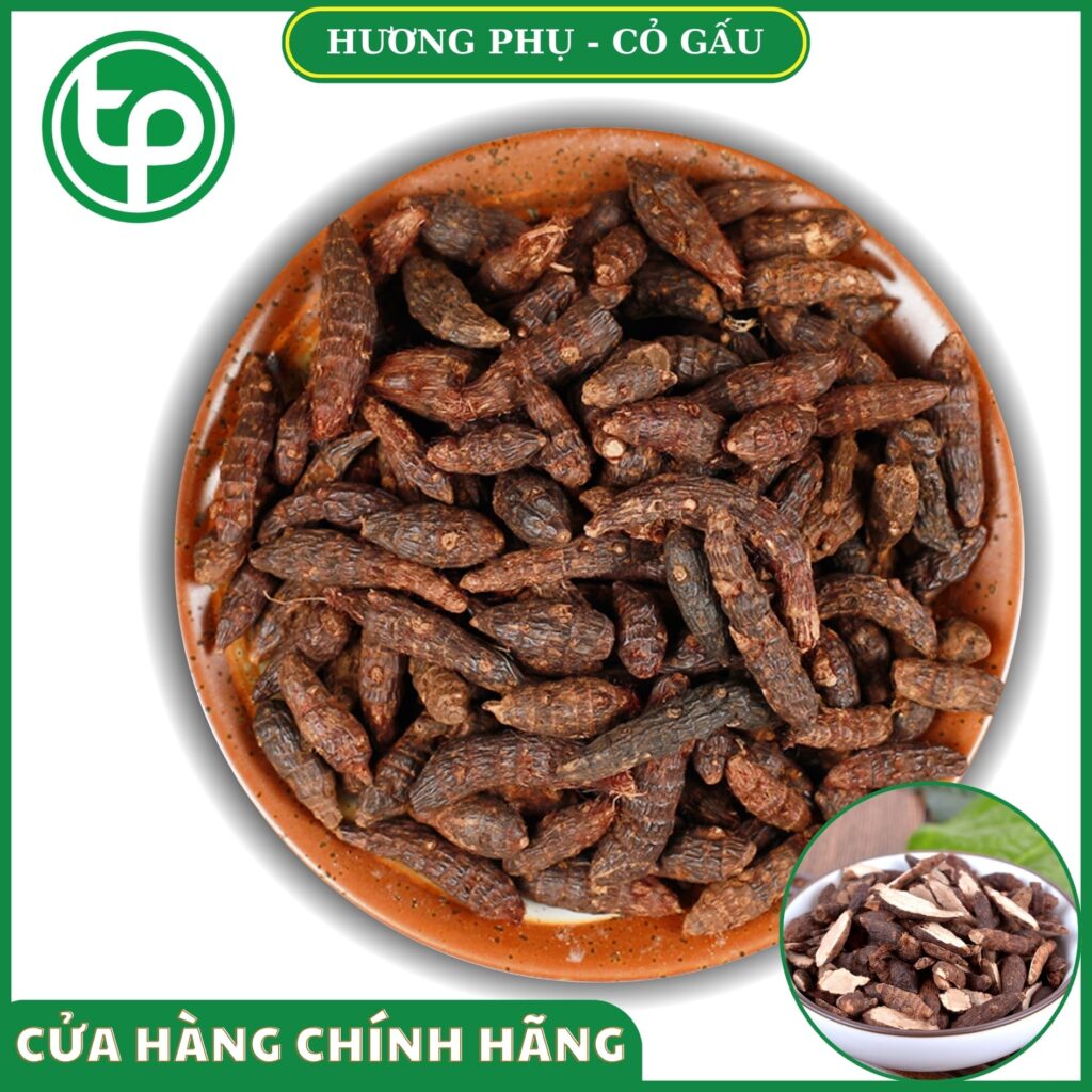 Hương phụ/ cỏ cú tại HCM THAPHACO (Tấn Phát Group)