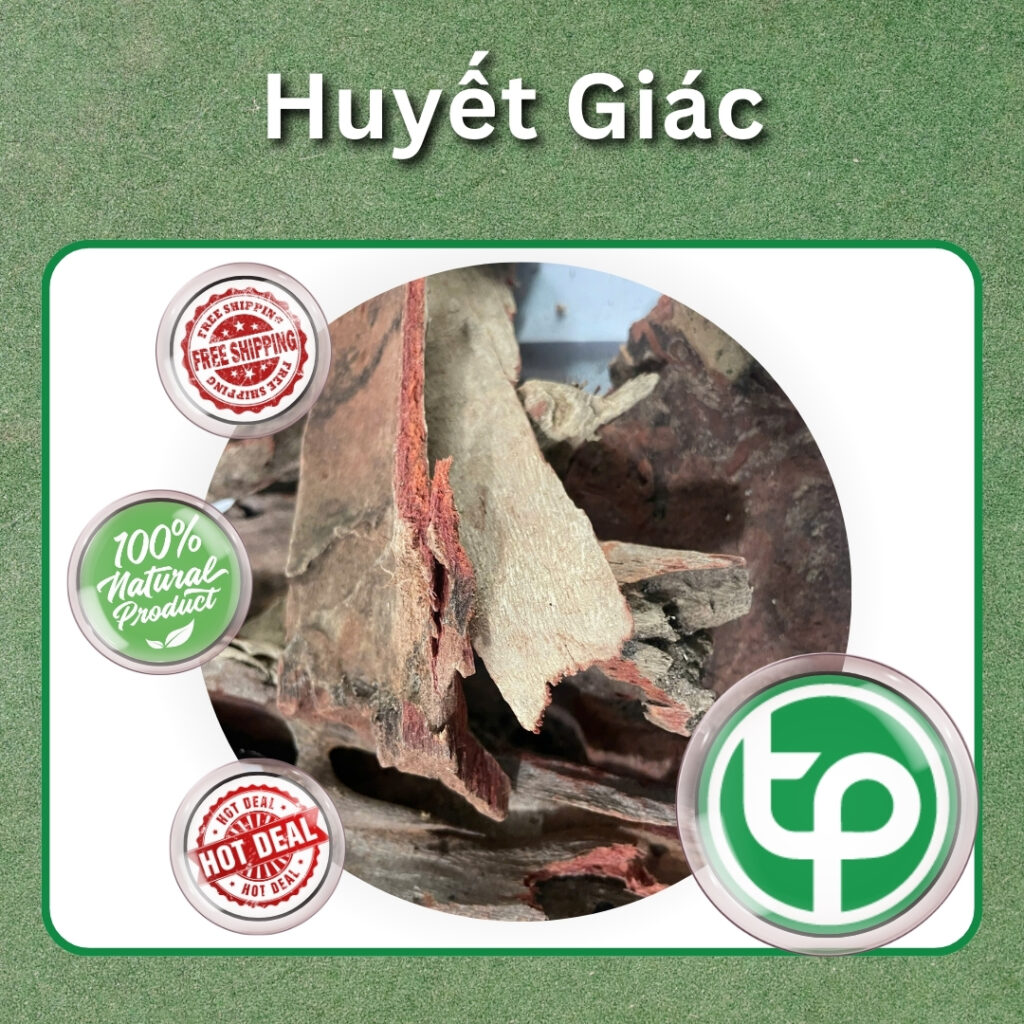 Huyết giác giá rẻ tại THAPHACO (Tấn Phát Group)