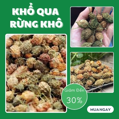 Mua khổ qua rừng tại TP.HCM ở THAPHACO ( Tấn Phát Group )