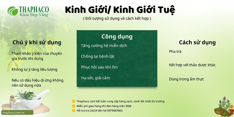 Kinh giới/kinh giới tuệ cần lưu ý điều gì khi dùng