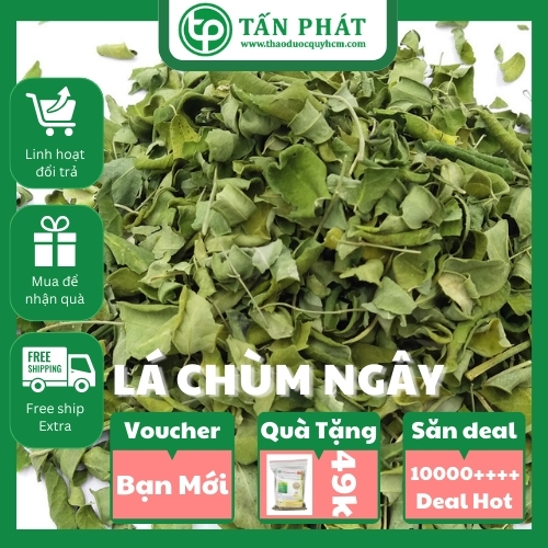 Địa chỉ bán lá chùm ngây tại TP.HCM ở đâu ?