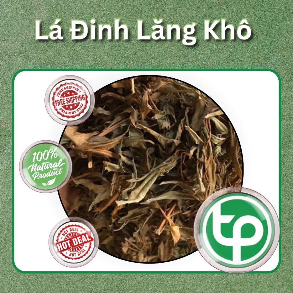 Lá đinh lăng tại HCM THAPHACO (Tấn Phát Group)