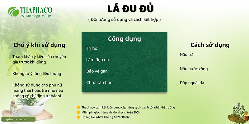 La đu đủ tại HCM THAPHACO (Tấn Phát Group)