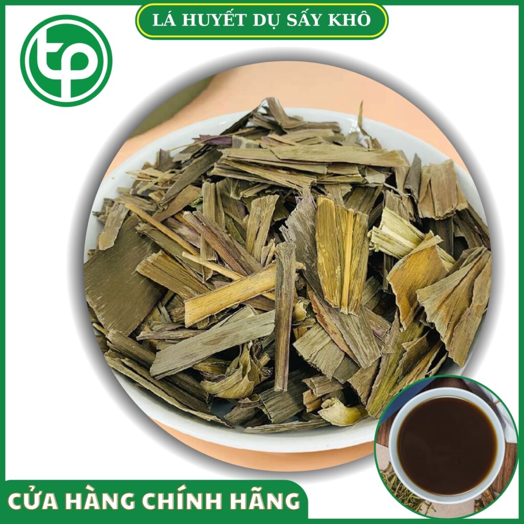 Lá huyết dụ tại HCM THAPHACO (Tấn Phát Group)