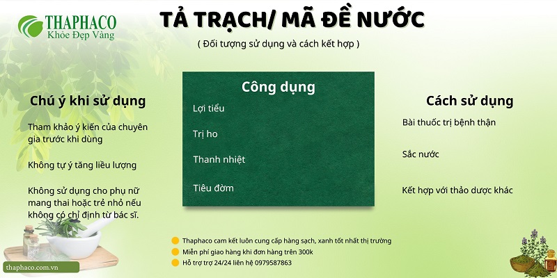 Lưu ý khi sử dụng tả trạch/mã đề nước