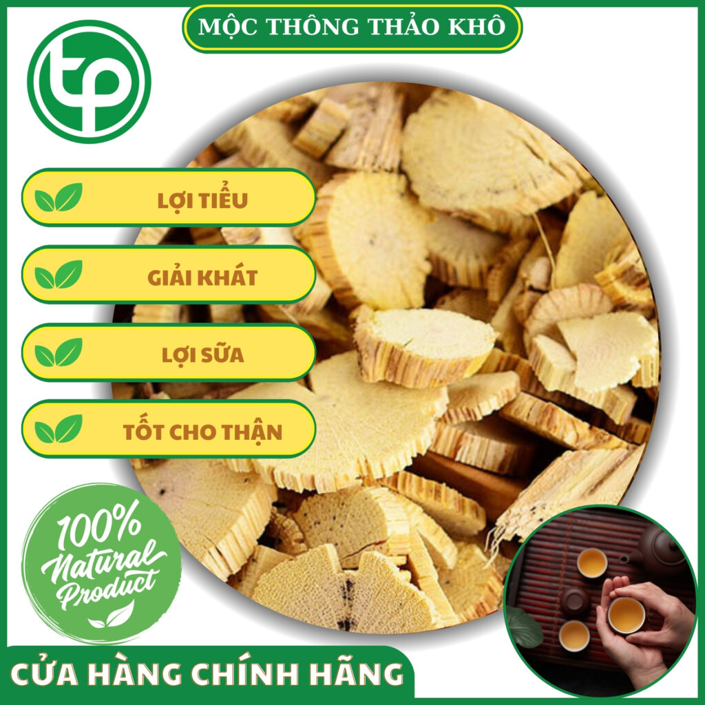 Công dụng của mộc thông thảo tại TP.HCM 