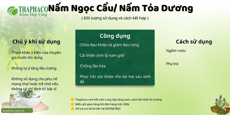 Lưu ý khi dùng nấm tỏa dương