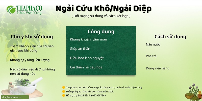 Lưu ý khi dùng ngải cứu/ ngải diệp tại HCM