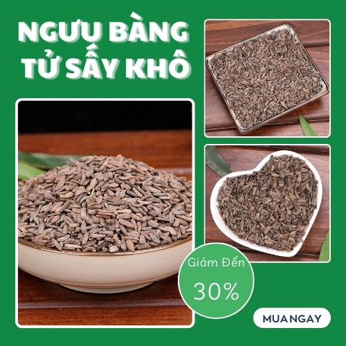 Ngưu bàng tử tại HCM THAPHACO (Tấn Phát Group)