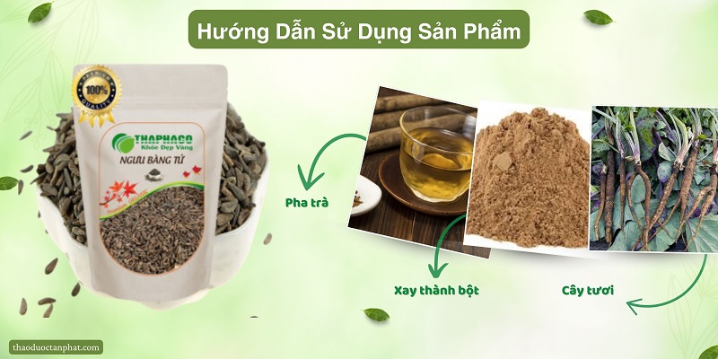 Sử dụng ngưu bàng tử như thế nào