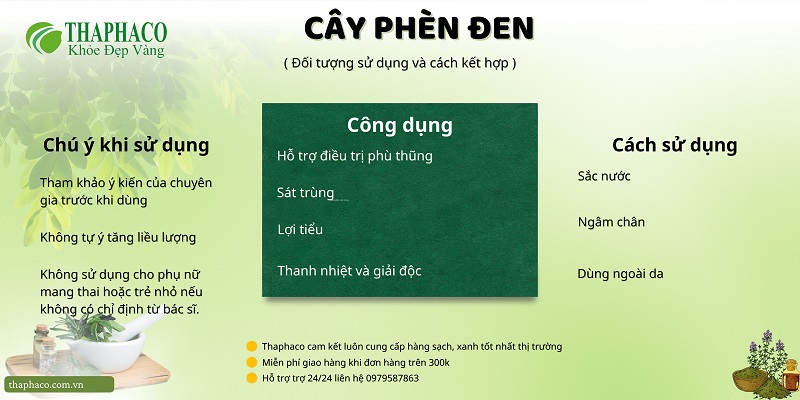 Lưu ý khi sử dụng cây phèn đen