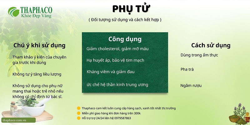 Lưu ý khi dùng phụ tử tại nhà