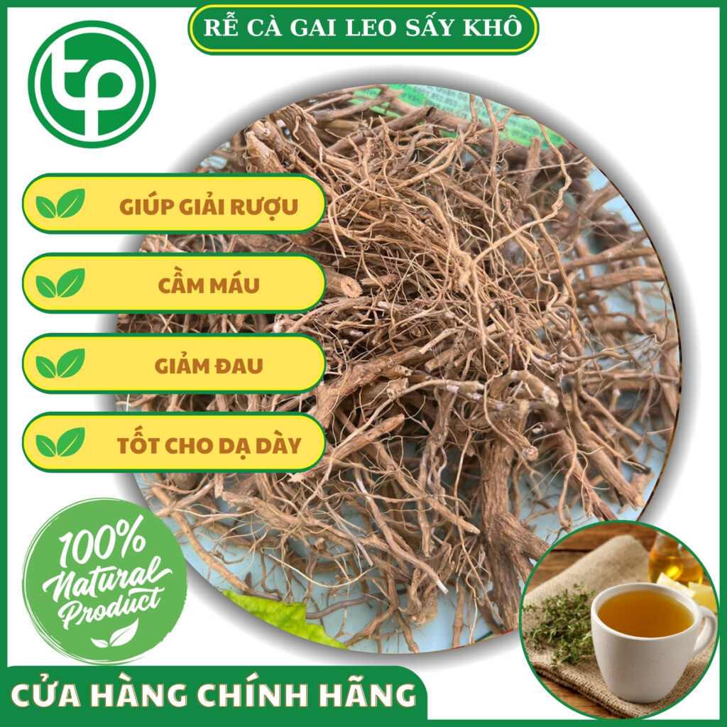 Công dụng của rễ cà gai leo tại TP.HCM