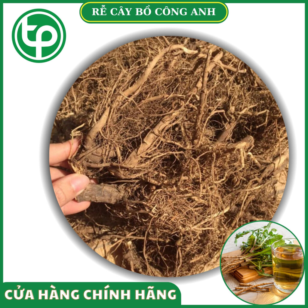 Sản phẩm rễ bồ công anh tại TP.HCM ở THAPHACO ( Tấn Phát Group )