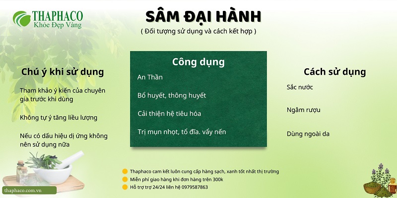 Lưu ý khi dùng sâm đại hành tại HCM