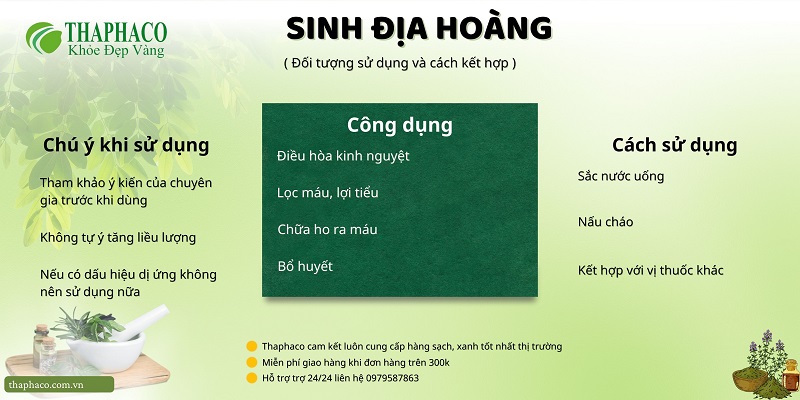 Lưu ý khi dùng sinh địa hoàng