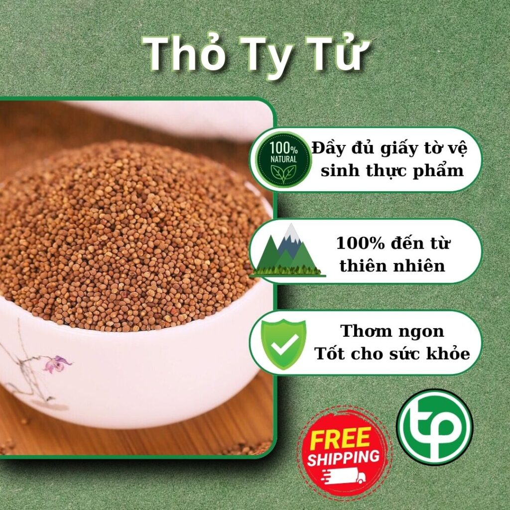 Mua thỏ ty tử tại TP.HCM ở đâu uy tín ?